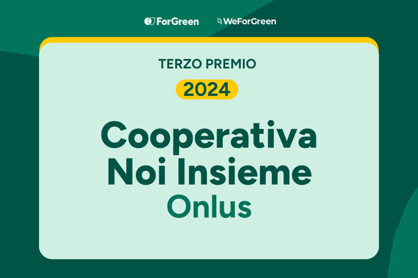 Noi Insieme Onlus