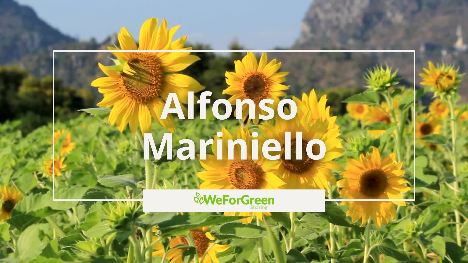Ambasciatori WeForGreen - Alfonso Mariniello