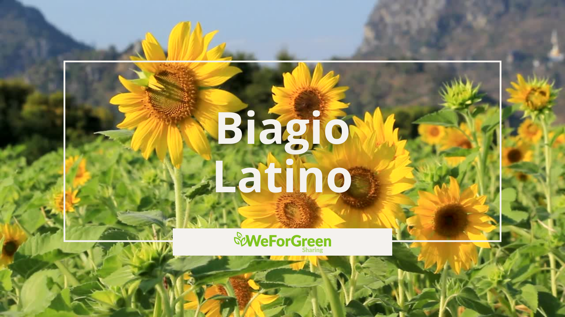 Ambasciatori WeForGreen - Biagio Latino