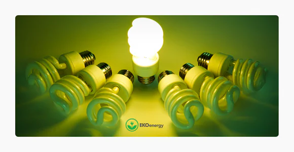 Energia certificata EKOenergy