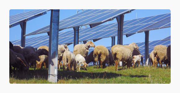 Fotovoltaico a Distanza_home