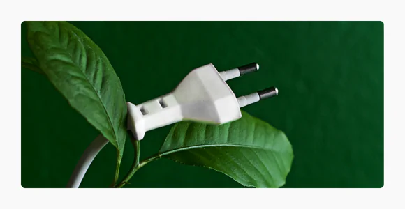 WFG_Consumo-Sostenibile