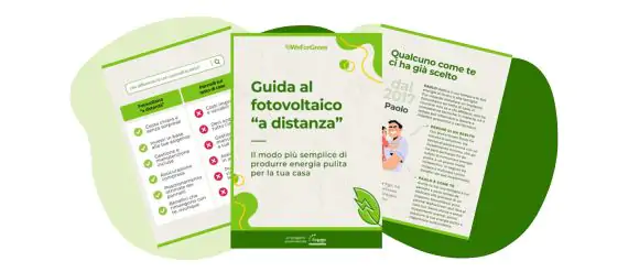 cover-guida-ftv-distanza